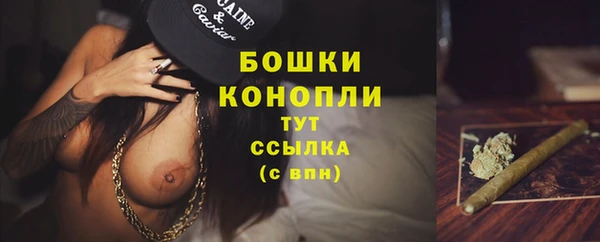 COCAINE Богородицк