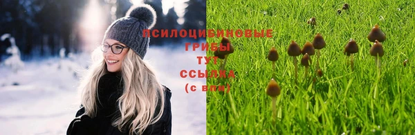 бутират Богданович